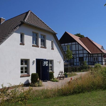 Feriendorf Alte Schmiede Mellenthin エクステリア 写真