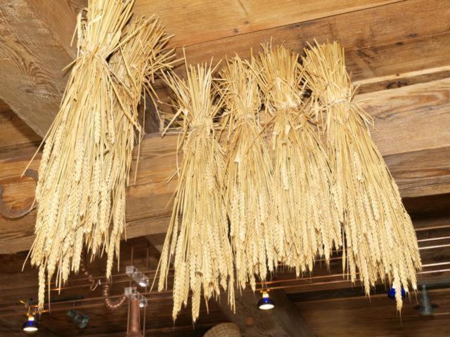 Feriendorf Alte Schmiede Mellenthin エクステリア 写真